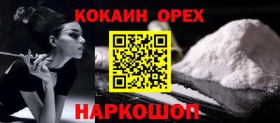 кокс Гатчина