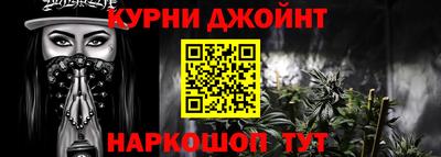 кокс Гатчина