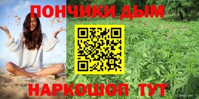 кокс Гатчина