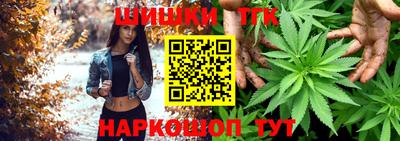 spice Гай