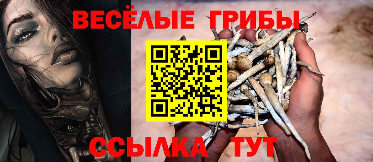 Галлюциногенные грибы Magic Shrooms Надым